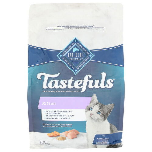 BLUE Food Cat Tstf Chk Brn Rc - 3 Pound