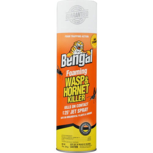 Bengal Wasp & Hornet Killer, Foaming