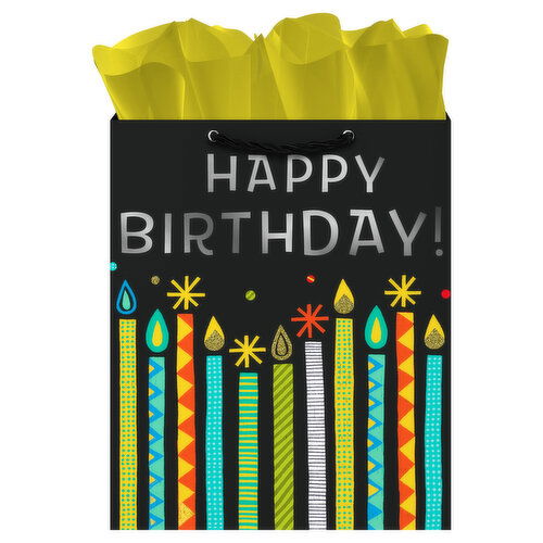 Hallmark Gift Bag, with Tissue Paper, Happy Birthday