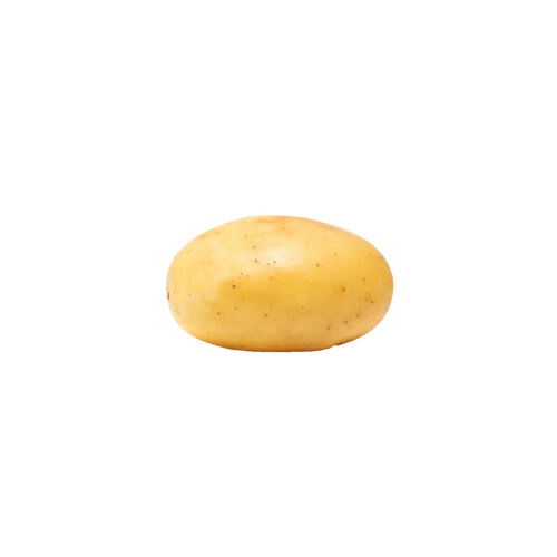 Fresh White Potato