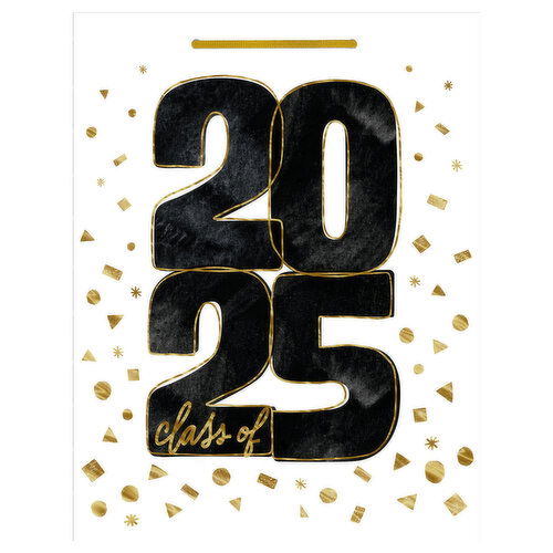 Hallmark Gift Bag, Graduation, 13 Inch, Large - 1 Each