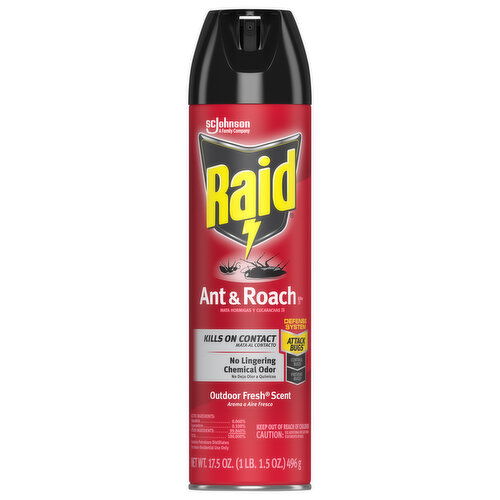 Raid Ant & Roach Killer 26, Outdoor Fresh Scent