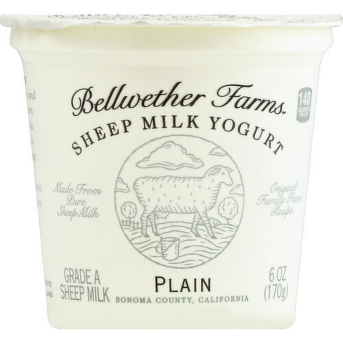 Bellwether Farms Yogurt, Sheep Milk, Plain