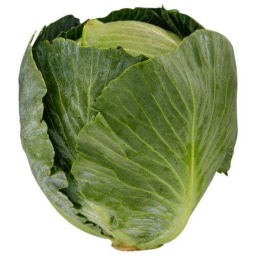 Fresh Cabbage, Green