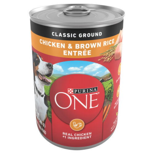 Purina One Dog Food Chicken Brown Rice Entree Classic Ground Adult FRESH by Brookshire s