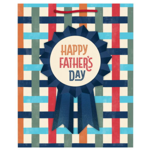 Hallmark Gift Bag, Father's Day, Medium, 9.6 Inch - 1 Each