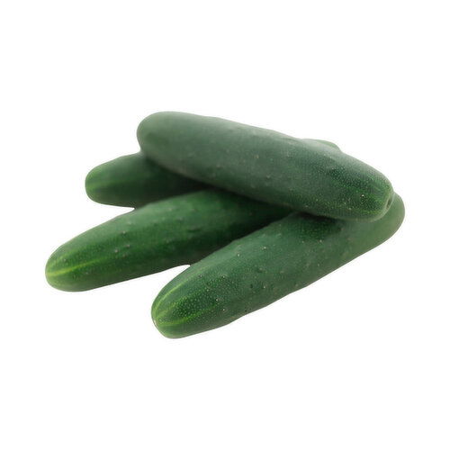 Fresh Organic Cucumbers