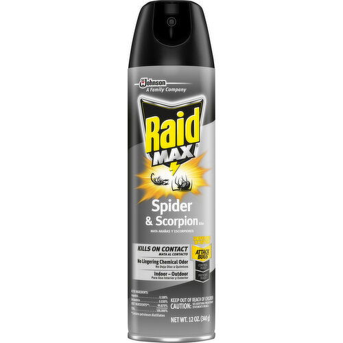 Raid Spider & Scorpion Killer, Indoor - Outdoor