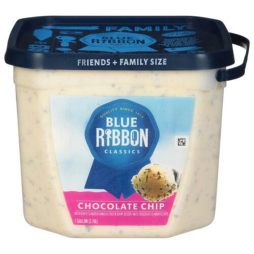 Blue Ribbon Classics Frozn Dairy Dessert, Chocolate Chip, Friends + Family Size