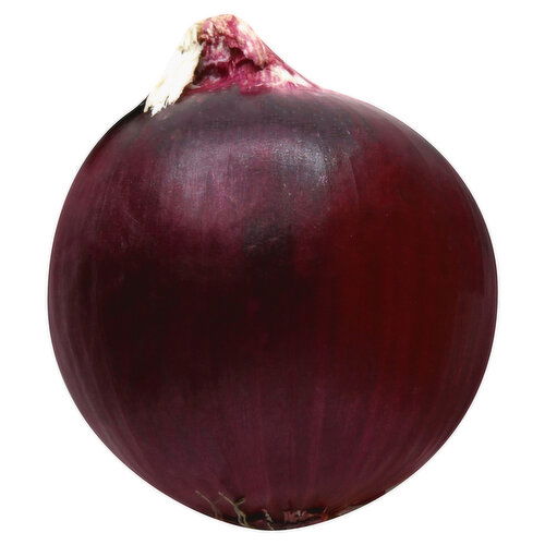 Fresh Onion, Red