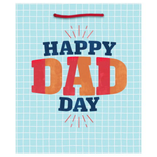 Hallmark Gift Bag, Father's Day, Small, 6.5 Inch - 1 Each