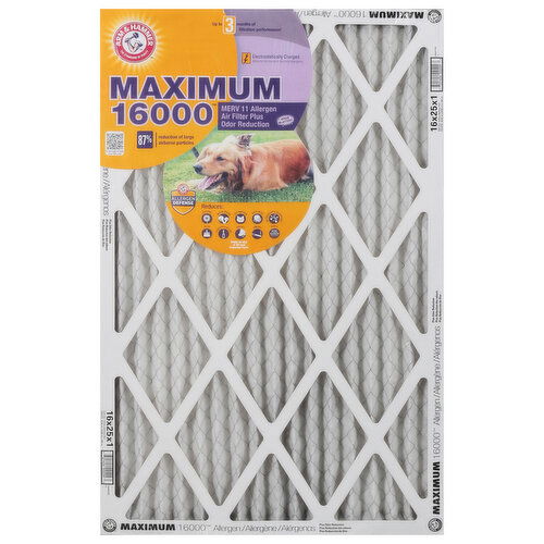 Arm & Hammer Air Filter, Plus Odor Reduction, Allergen, MERV 11