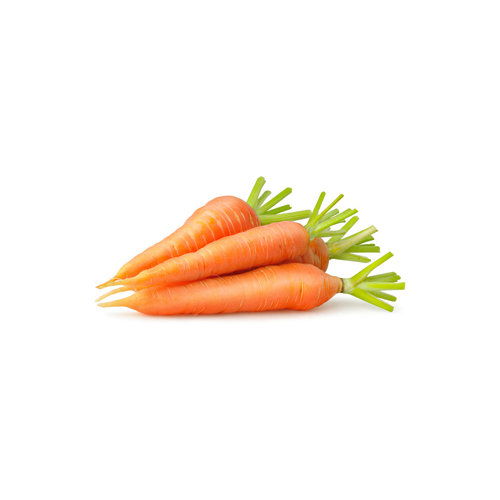 Fresh Organic Carrot 