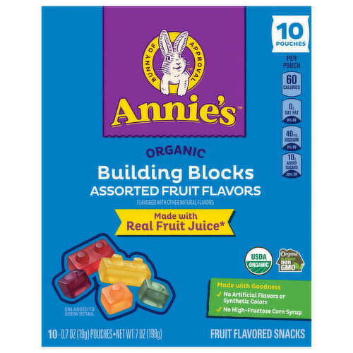 Annie's Organic Building Blocks Assorted Fruit Flavors Fruit Flavored Snacks - 10 Each