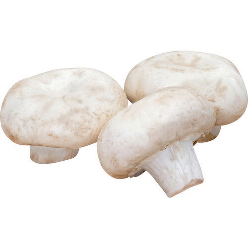 Fresh Mushrooms, White