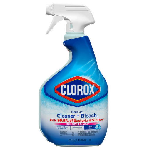 Clorox Cleaner + Bleach, Rain Clean