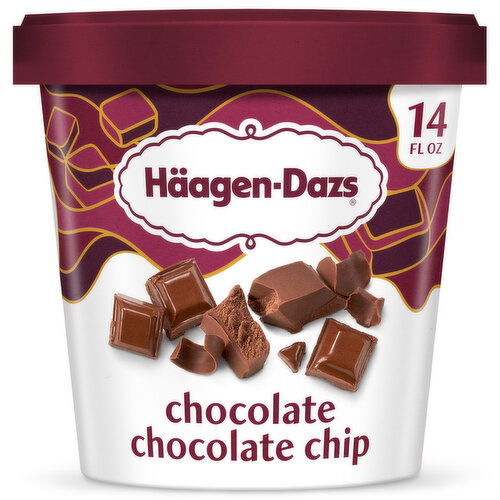 Haagen-Dazs Chocolate Chocolate Chip Ice Cream - 14 Fluid Ounce