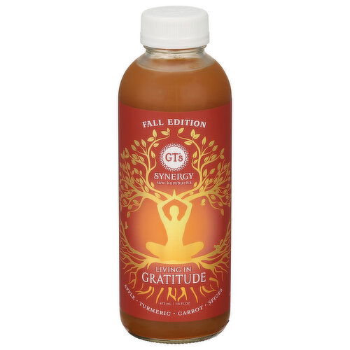 GT's Kombucha, Raw, Living in Gratitude