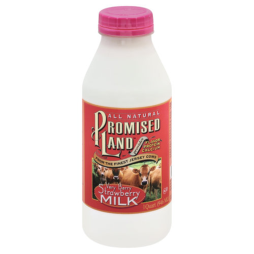 Promised Land Dairy Whole Milk, Very Berry Strawberry