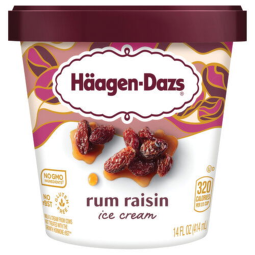 Haagen-Dazs Rum Raisin Ice Cream - 14 Fluid Ounce
