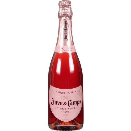 Juve & Camps Pinot Noir, Brut Rose