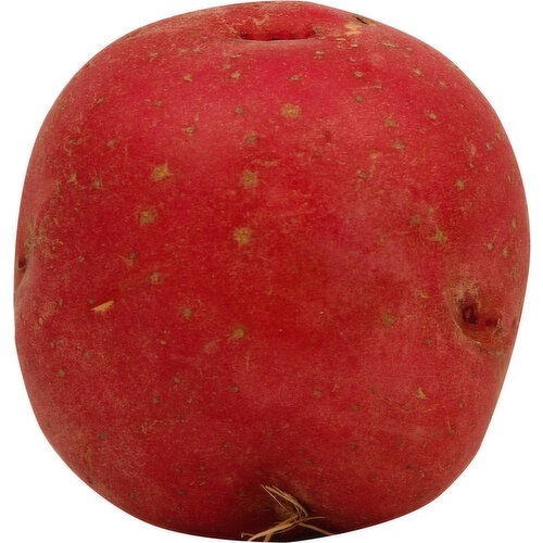 Fresh Potato, Red