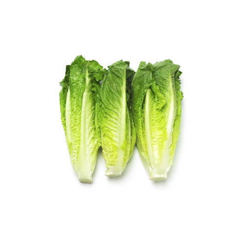 Fresh Romaine Hearts