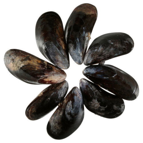 Fresh Mussels