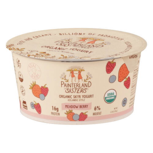 Painterland Sisters Yogurt, Organic, Skyr, Meadow Berry, Icelandic Style - 5.3 Ounce