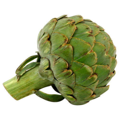 Fresh Artichoke