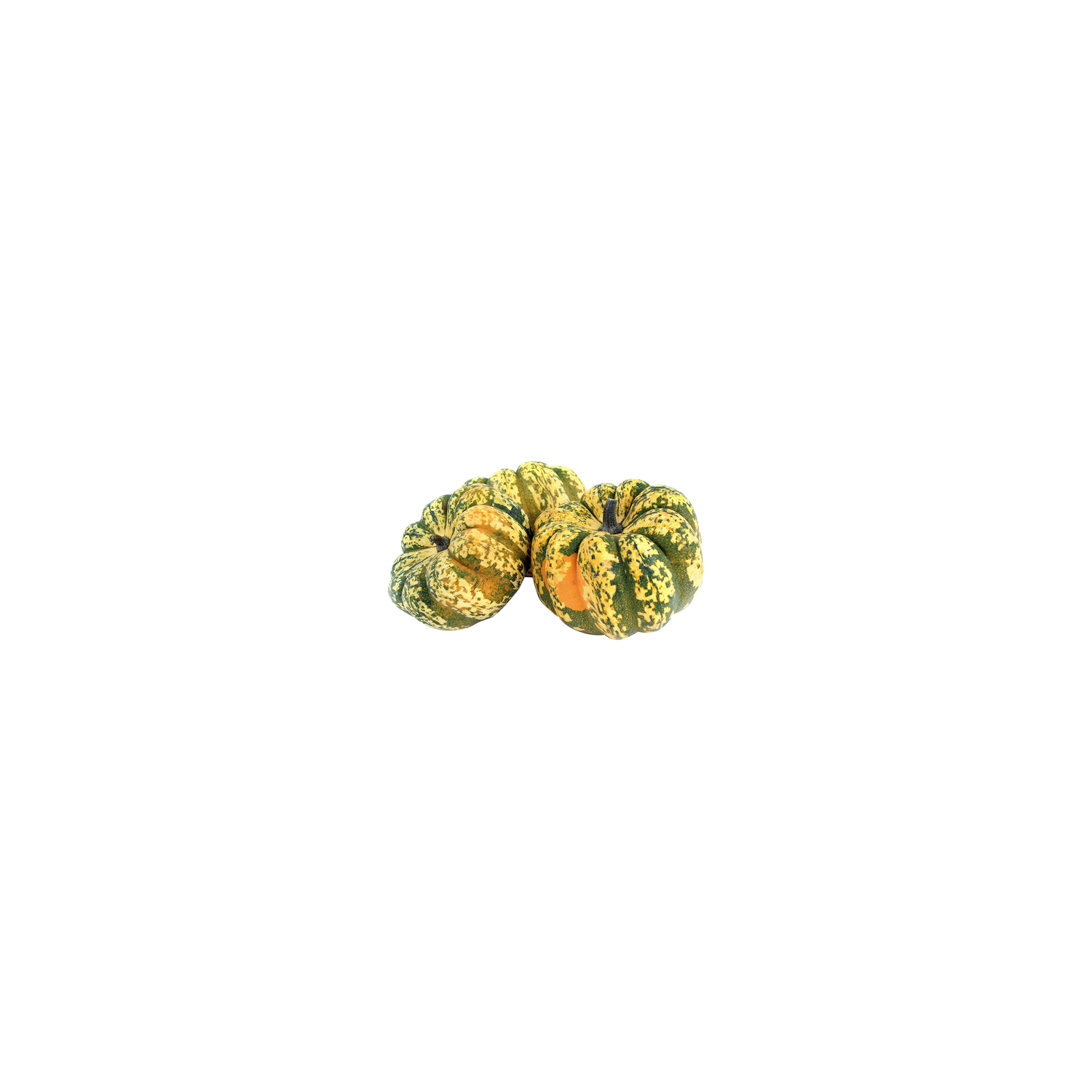  Carnival Squash - Avg 1.40 Lbs