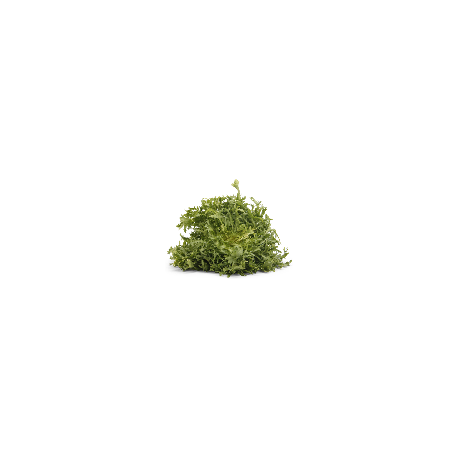  Frisee Greens - 1 Each