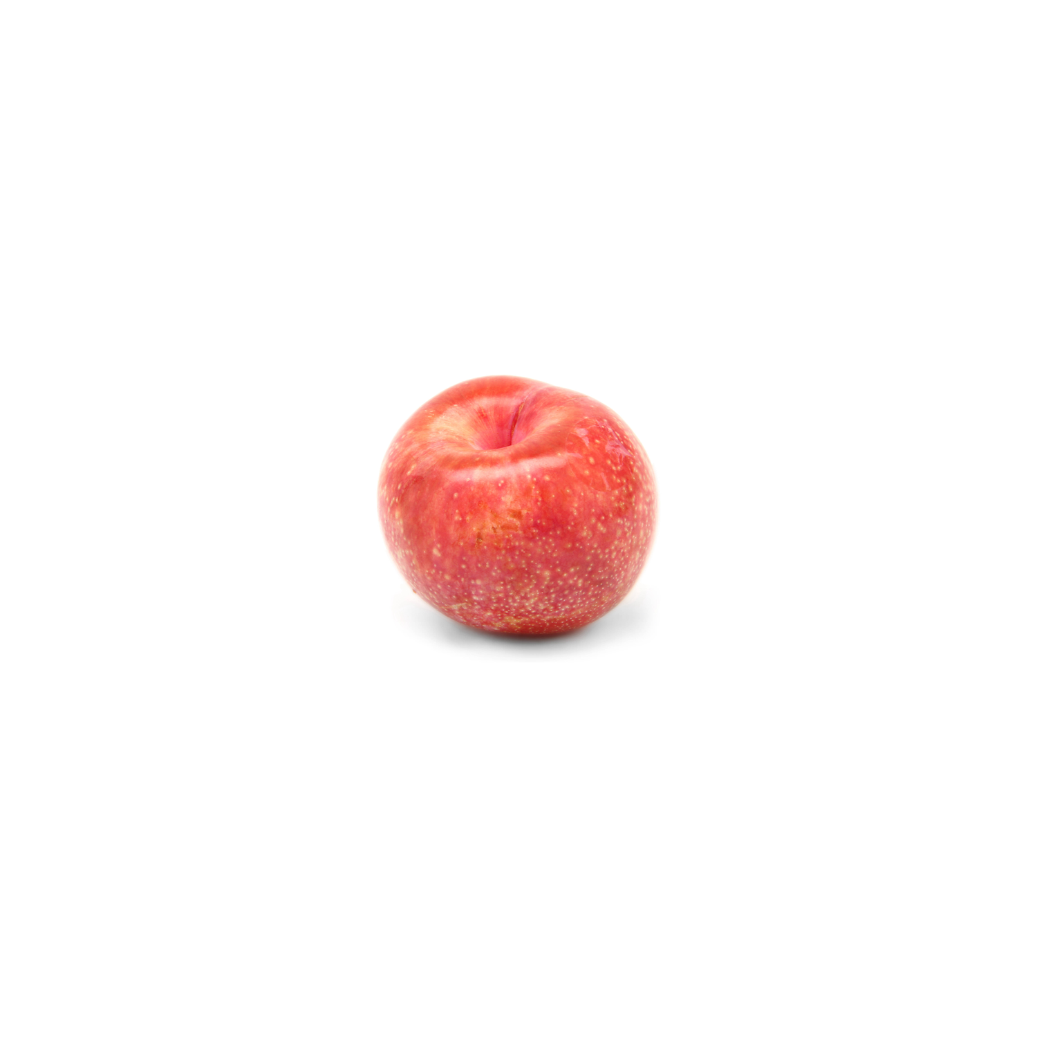  Red Plumcot - Avg 0.45 Lb