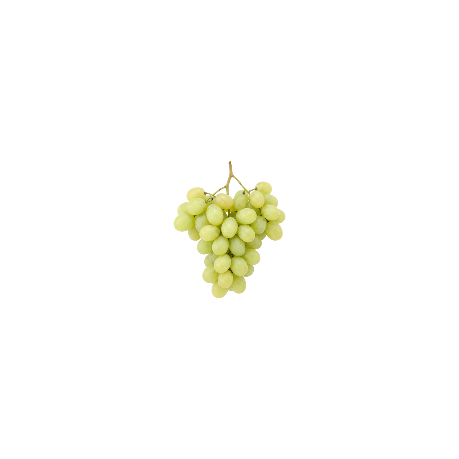 Seedless Green Grapes - Avg 2.25 Lbs