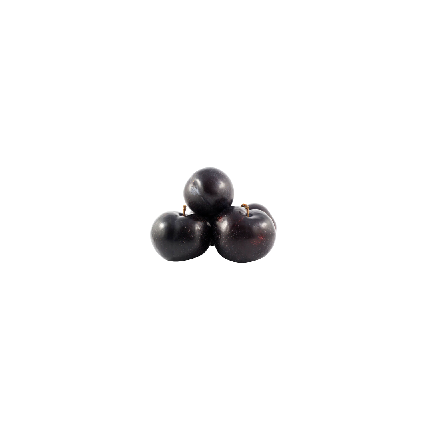  Black Plum - Avg 0.40 Lb