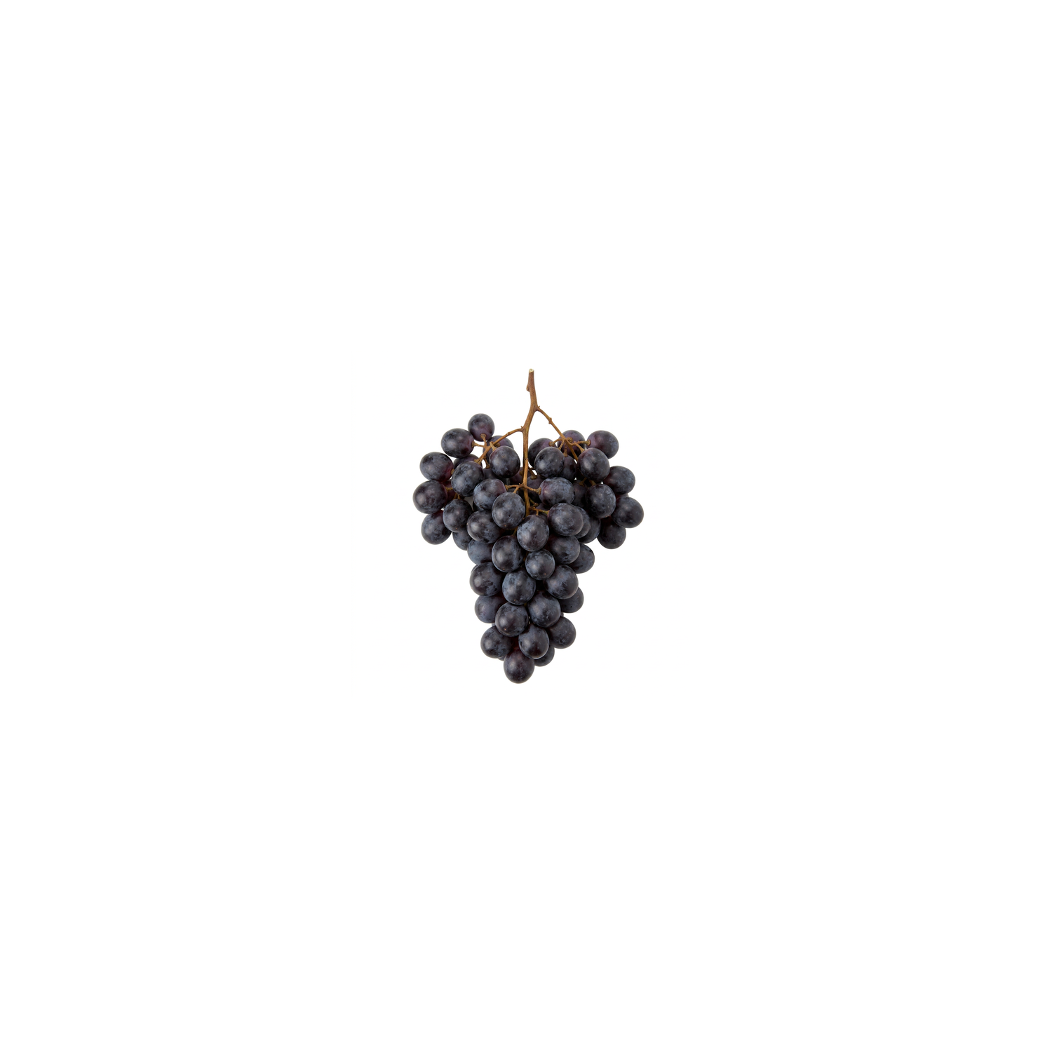  Seedless Black Grapes - Avg 2.25 Lbs
