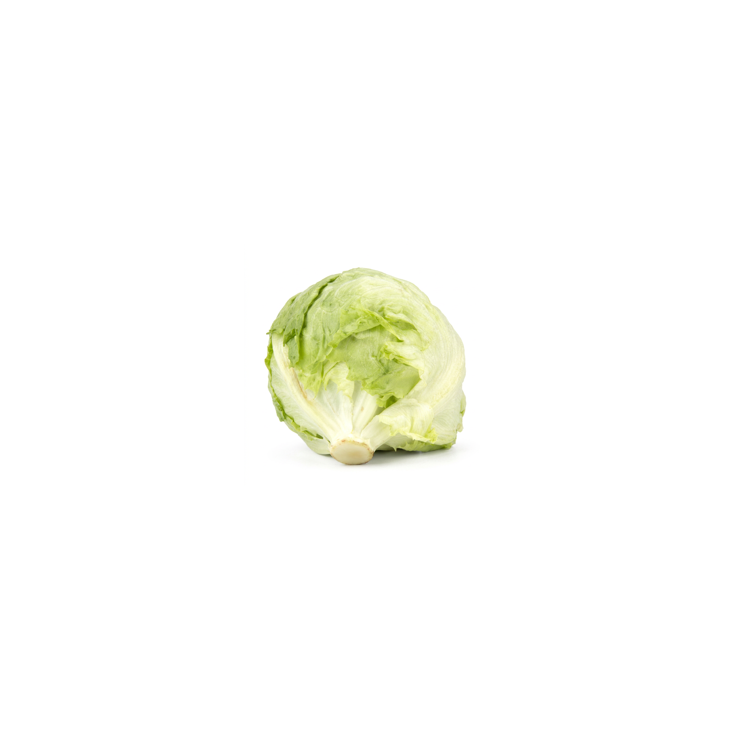  Iceberg Lettuce - 1 Each