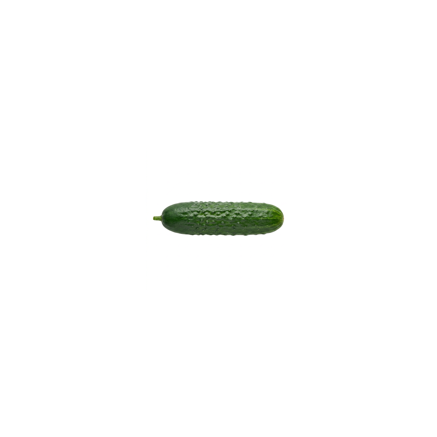 Cucumber - 1 Each