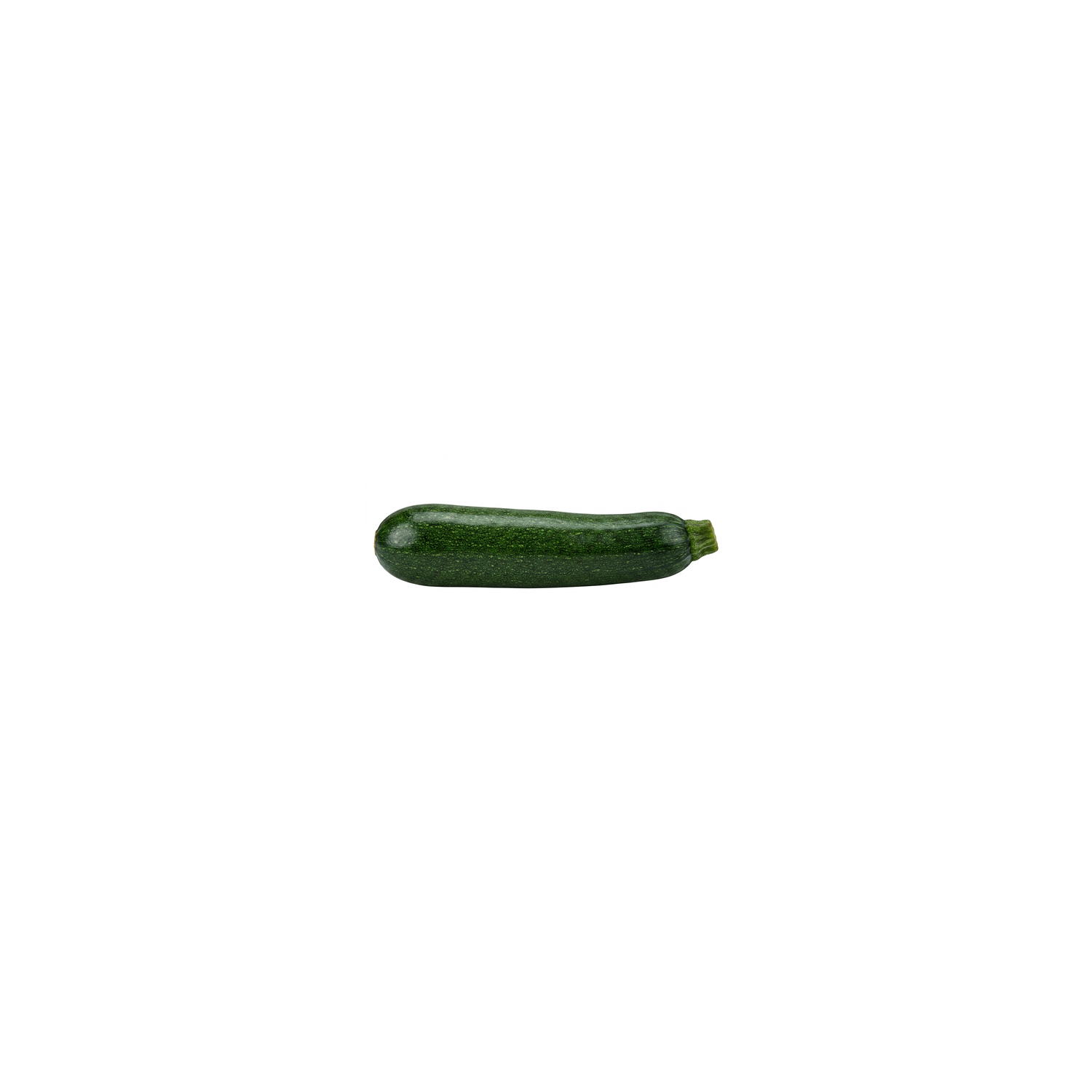  Italian Zucchini - Avg 0.60 Lb