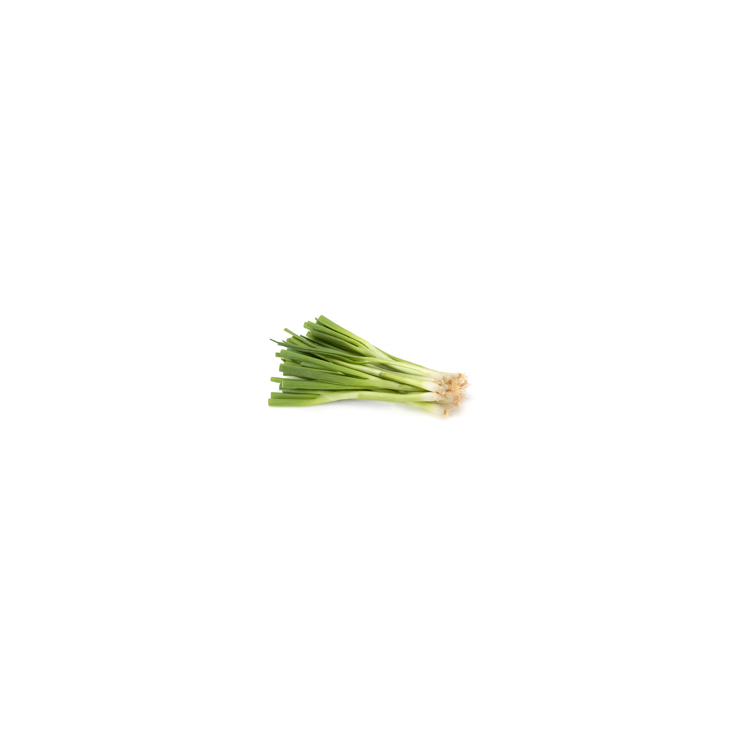  Green Onions - 1 Each