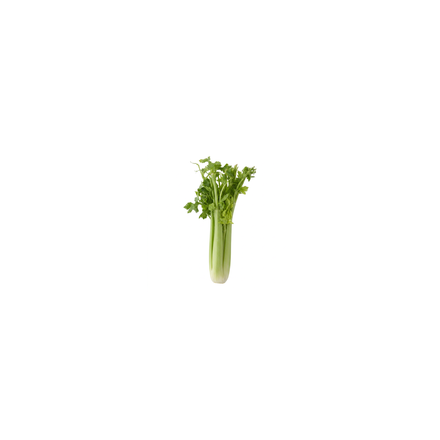  Celery - 1 Each