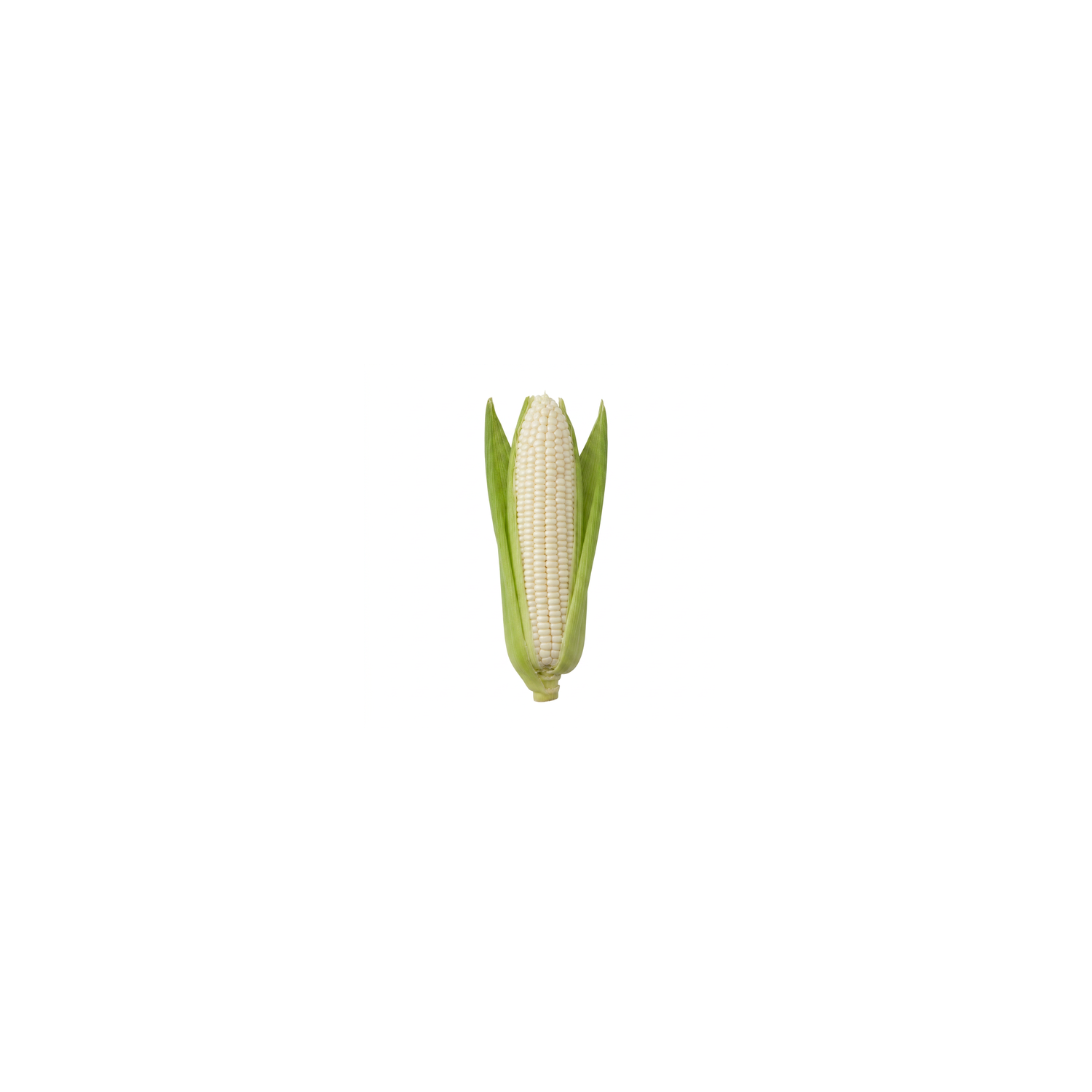  Sweet White Corn - 1 Each