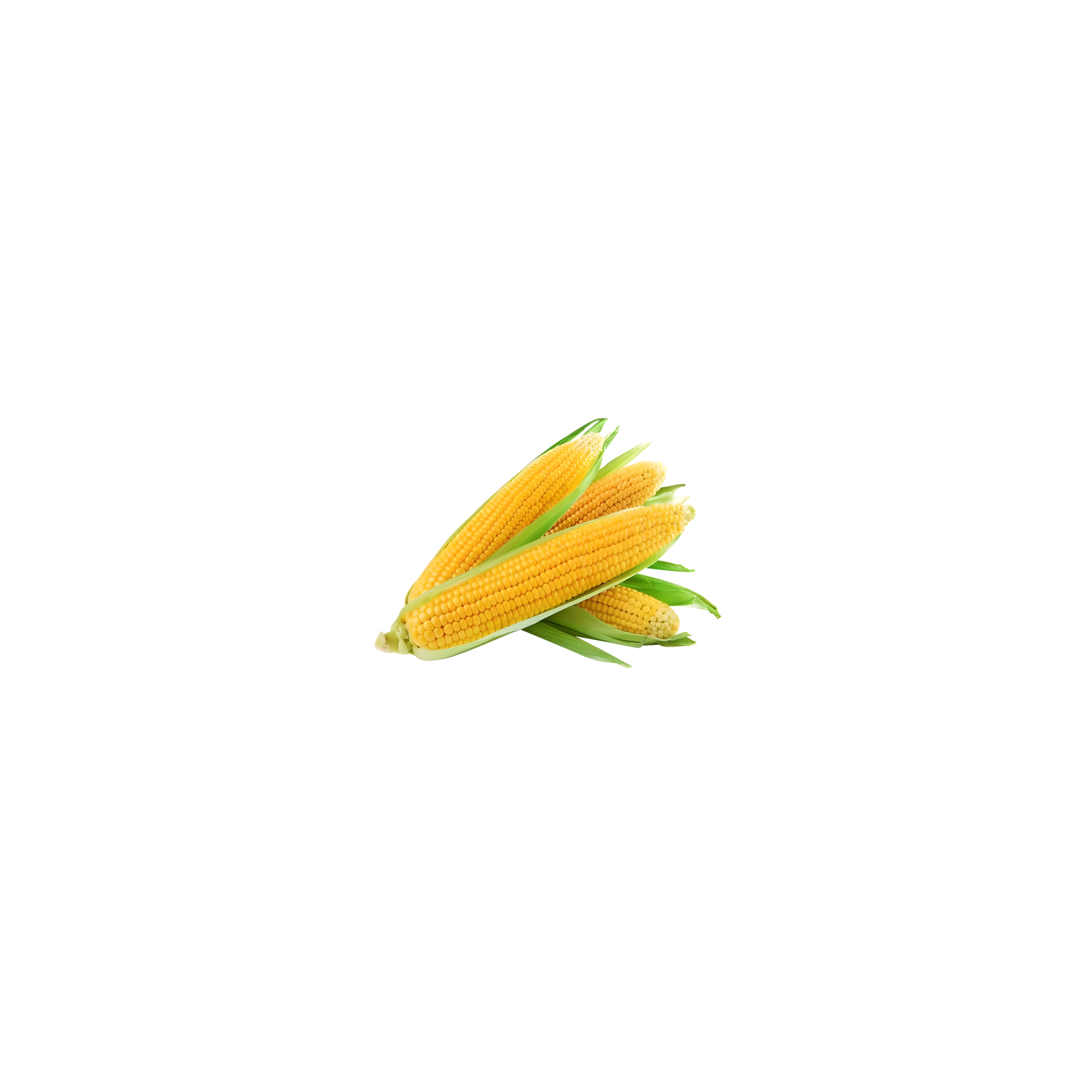  Corn - 1 Each