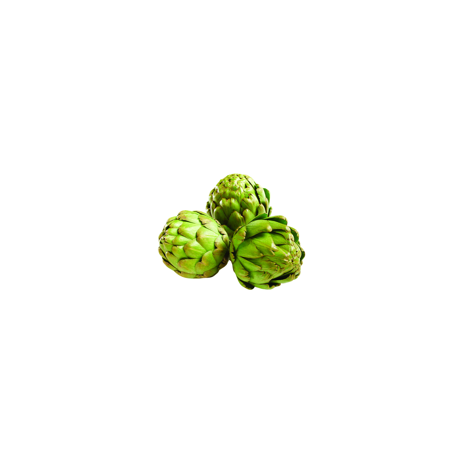  Artichoke - 1 Each