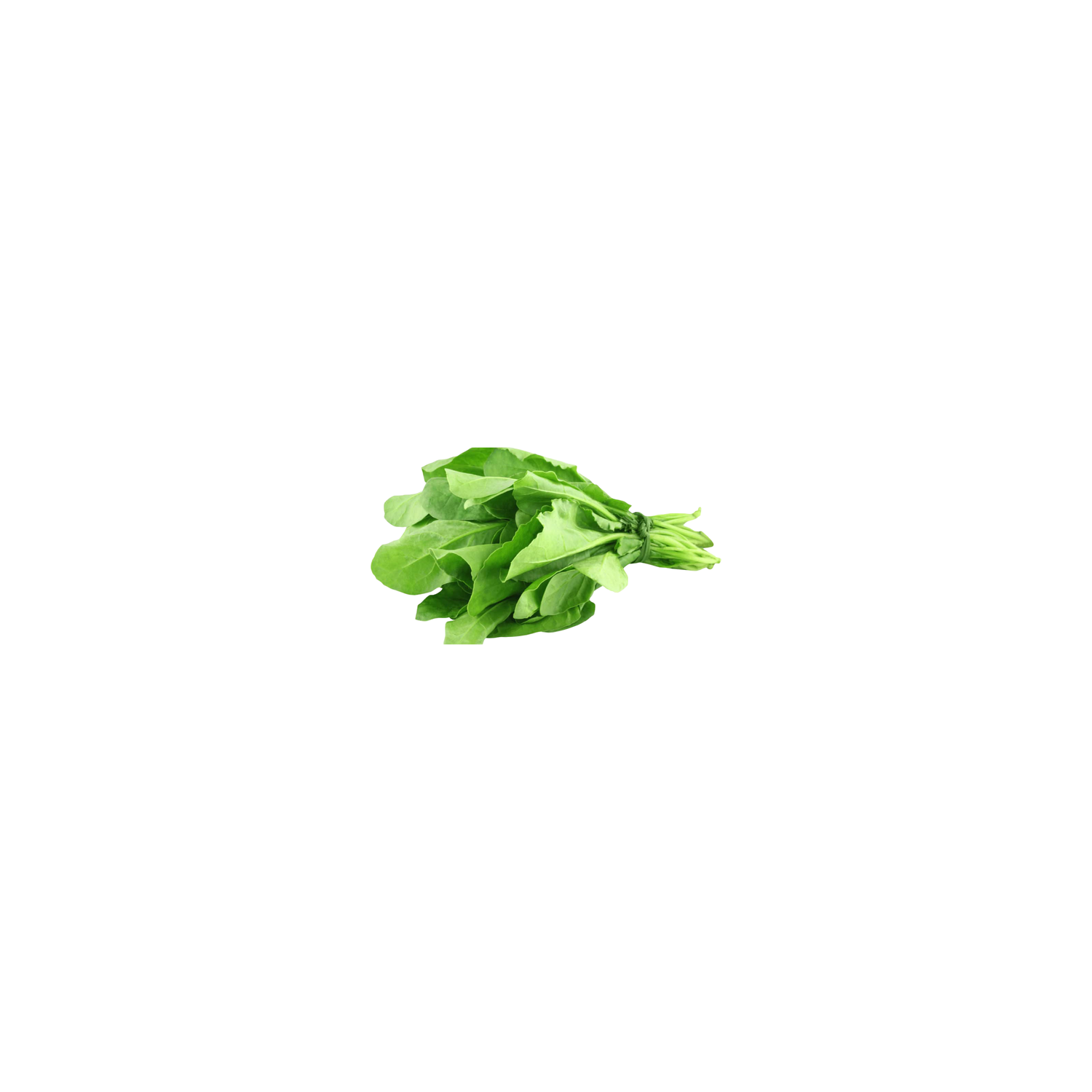 Spinach - 1 Each