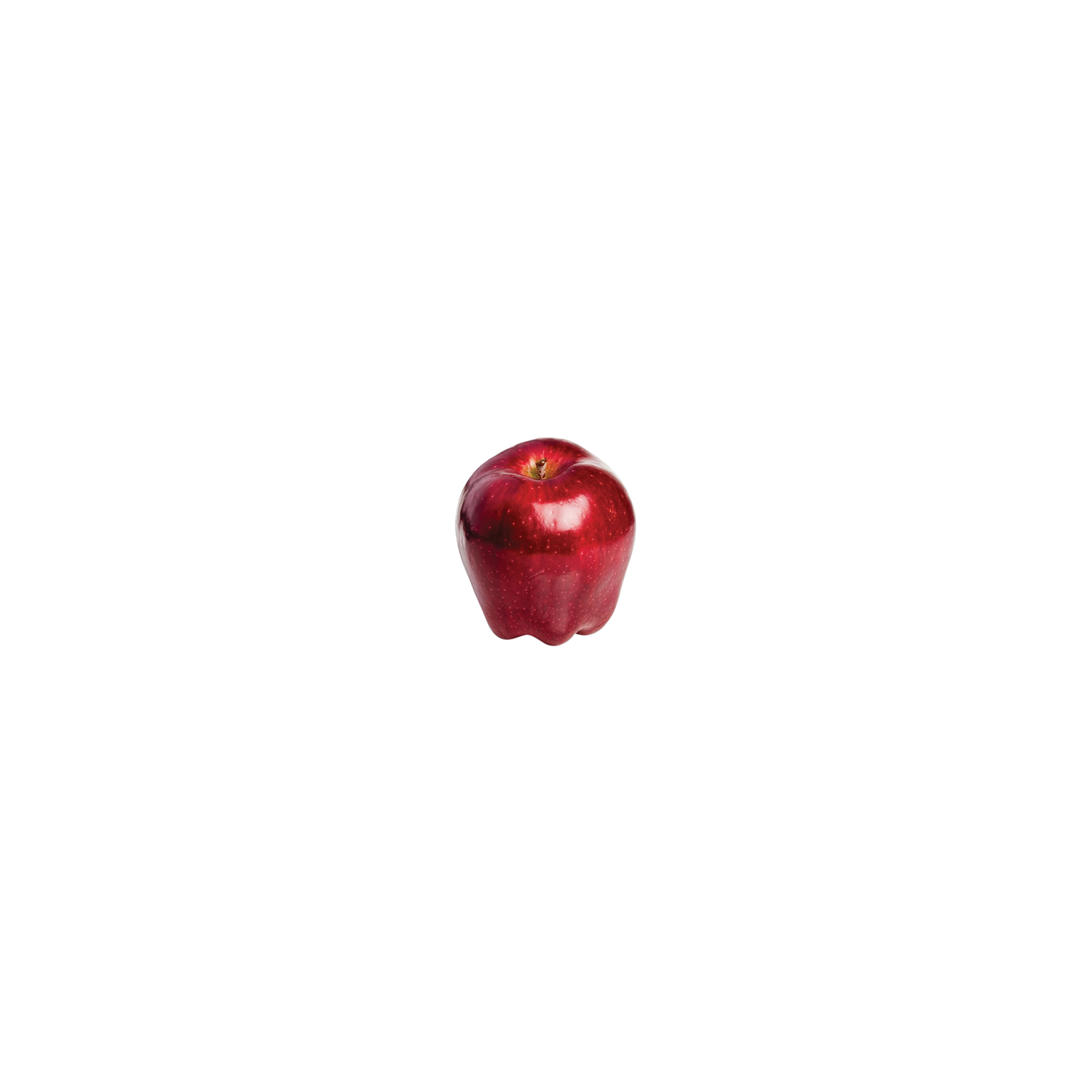 Red Delicious Apple - Avg 0.60 Lb
