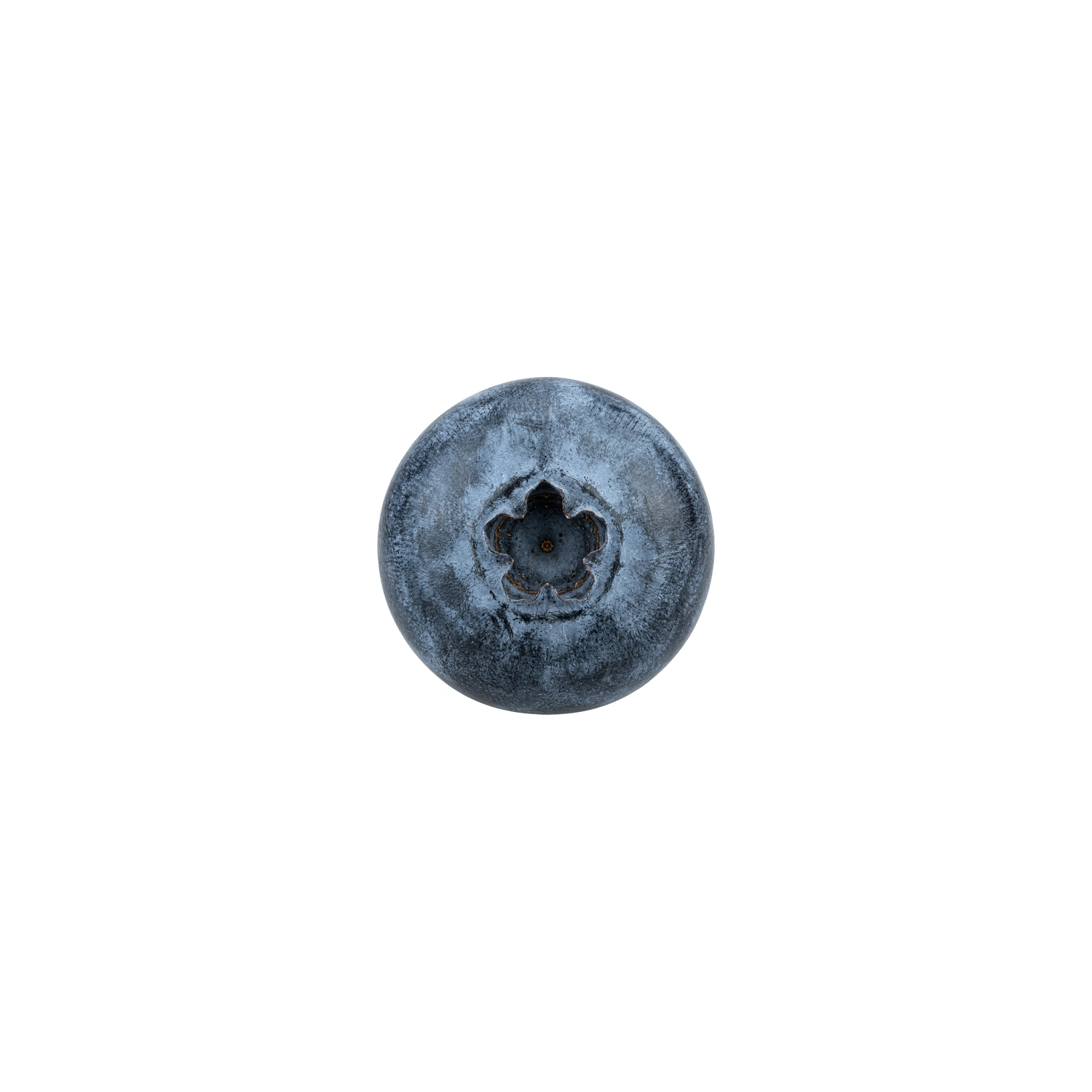 Blueberries - 1 Each Image 1 of 2