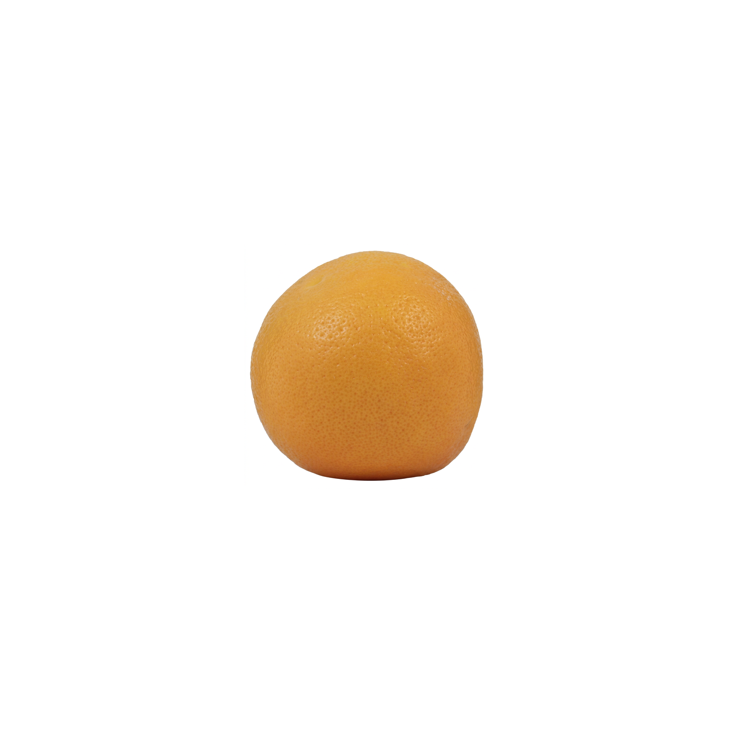  Grapefruit - 1 Each
