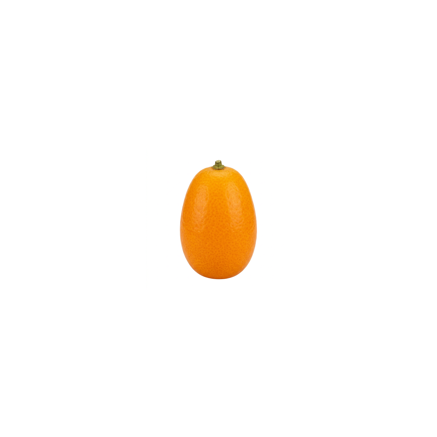  Kumquat - 1 Each
