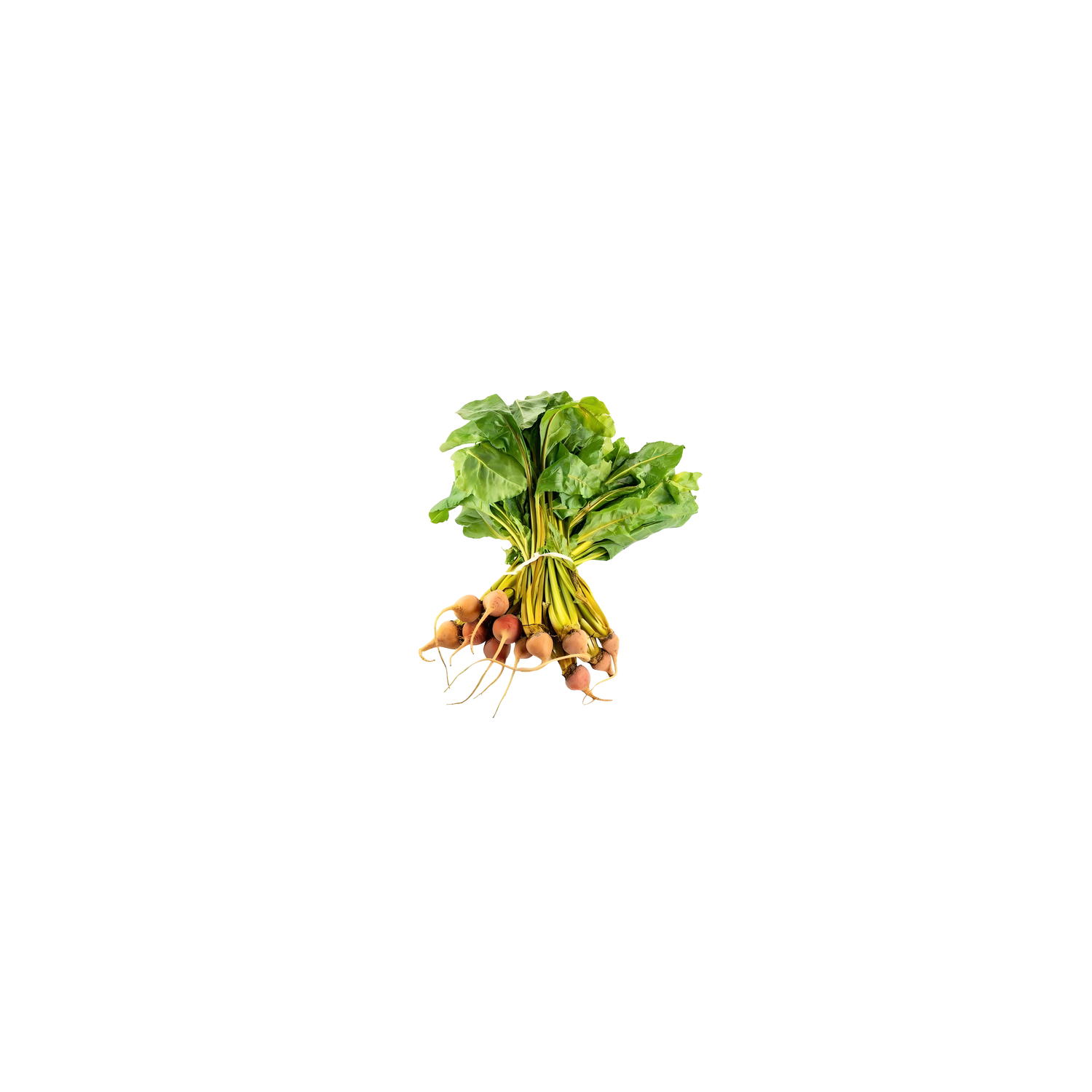  Baby Gold Beets - 1 Each